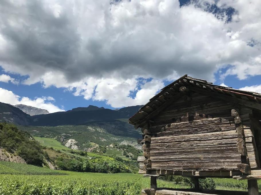 Сasa de vacaciones La Maisonnette : Charmante Maison Independante *